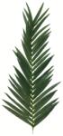  EUROPALMS Coconut King Palm Branch, artificial, 150cm (82509845)