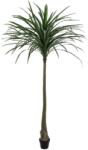  EUROPALMS Dracena, green, artificial, 220cm (82505798)