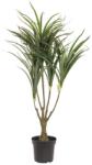 EUROPALMS Dracena, green-red, artificial, 90cm (82505778)