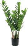  EUROPALMS Zamifolia, artificial plant, 70cm (82600153)