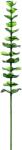  EUROPALMS Crystal eucalyptus, artificial plant, green 81cm 12x (82600200)