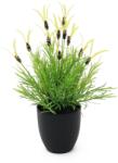  EUROPALMS Feather lettuce, artificial, 40cm (82505639)