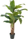  EUROPALMS Banana Tree, artificial plant, 120cm (82509537)