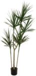 EUROPALMS Dracaena, artificial plant, green, 170cm (82505799)