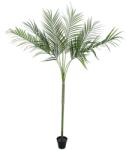  EUROPALMS Areca deluxe, artificial plant, 180cm (82509443)