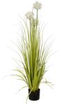  EUROPALMS Allium grass, artificial plant, white, 120 cm (82600169)