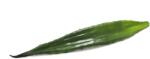  EUROPALMS Aloe leaf (EVA), artificial, green, 60cm (82530581)