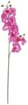  EUROPALMS Orchid branch, artificial, purple, 100cm (82530322)
