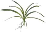  EUROPALMS Orchid leaf (EVA), arificial, green, 45cm (82530574)
