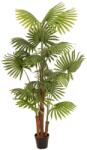  EUROPALMS Fan Palm, artificial plant, 165cm (82509305)