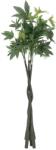  EUROPALMS Pachira ball tree, artificial plant, 160cm (82600165)