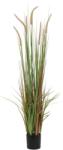  EUROPALMS Fountain grass, artificial, 120cm (82600121)