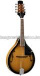  BMA-50 VS - Bluegrass mandolin plywood lucfenyő fedlappal (U279U)