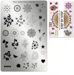 Moyra Körömnyomda lemez NO. 58 Step by step