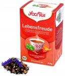 YOGI TEA Heartwarming Életöröm tea Bio 17x1, 8g melegítő (4012824401723)