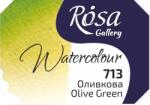 Rosa 343713 Vopsea acuarela 713 Olive Green 2, 5 ml 1 buc (343713)