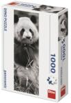Dino Puzzle 1000 db panoráma - panda Ajánlott 14-99 éves korig unisex [Cikkszám 53180]