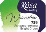 Rosa 343739 Vopsea acuarela 739 Bright Green 2, 5 ml 1 buc (<![CDATA[343739]]>)