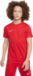Nike Dri-fit Academy (dr1343-657)
