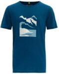 Devold Molnes Merino (go 293 274 D 291a)