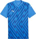 PUMA Teamglory Jersey (70574002)