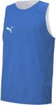 PUMA Dach Practise Jersey (60507402)