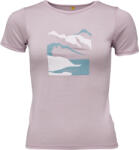 Devold Molnes Merino (go 293 274 D 167a)