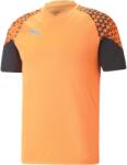 PUMA INDIVIDUALCUP TRAINING JERSEY Portocaliu, Negru, Alb XS (65828950)