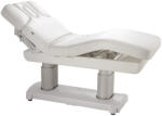 Silverfox Pat de wellness electric cu încălzire Silverfox Saturn Plus E4