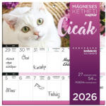LIZZY CARD Falinaptár mágneses LIZZY CARD 220x220mm 2 hetes Cicák 2026 (21691) - papir-bolt