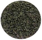 Kite Aprómag Kft Napraforgó fekete 10 kg madáreleség