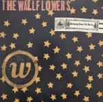 Interscope Records 2LP The Wallflowers: Bringing Down The Horse
