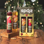 Spájz Szörp Ajándékcsomag (Téli fűszeres-Málna) 2x 0, 5 l