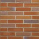 Terca Caramida plina Terca Milosa Goudsbloem 210x100x50 mm (Terca-11136803)