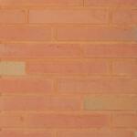 Terca Coltar klinker standard Terca Linnaeus Betula 288x48x23 mm (Terca-65710722)