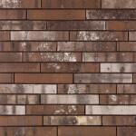 Terca Coltar klinker standard Terca Archipolis Barn Brown 240x40x23 mm (Terca-65710452)