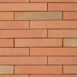 Terca Linnaeus Betula (288 x 48 x 23 mm) (Terca-65710721)