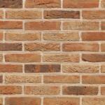 Terca Caramida plina Terca Arces Candy Rood 210x100x50 mm (Terca-12708470)