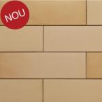 Terca Coltar klinker subtire Terca Armis Mellon Yellow 215x65x14 mm (Terca-65715002)