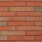 Terca Linnaeus Robinia (288 x 48 x 23 mm) (Terca-65710701)