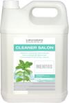 Laboratoire Diamex Diamex Cleaner Salon Mentos detergent de curățat podele - 5 lt