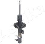 ASHIKA amortizor ASHIKA MA-80020 (MA-80020) - automobilus