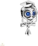 Pandora charm - 798907C01