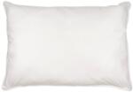 Somnart Naturo Somnart párna, 50x70 cm, töltet 100% toll, anyag 100% pamut, keménység: puha