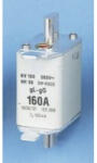 Mersen NH-01 160A NH-SE 1C 500 V gL 160A 371696 (A218247C) - lumenet