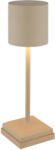 GLOBO Tölthető asztali LED lámpa USB kábellel, 32 cm - Dixon Globo 58487S (58487S)