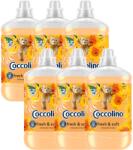Coccolino Orange Rush Öblítő koncentrátum 476 mosás 6x1700ml