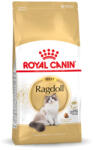 Royal Canin szárazeledel csirke Ragdoll 2 kg eredeti csomagolás