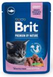 Brit Cat Tasakok 100 G Fehér Hal Kismacskáknak