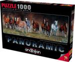 Anatolian Панорамен пъзел Anatolian - Свободно време, 1000 части (P1010)
